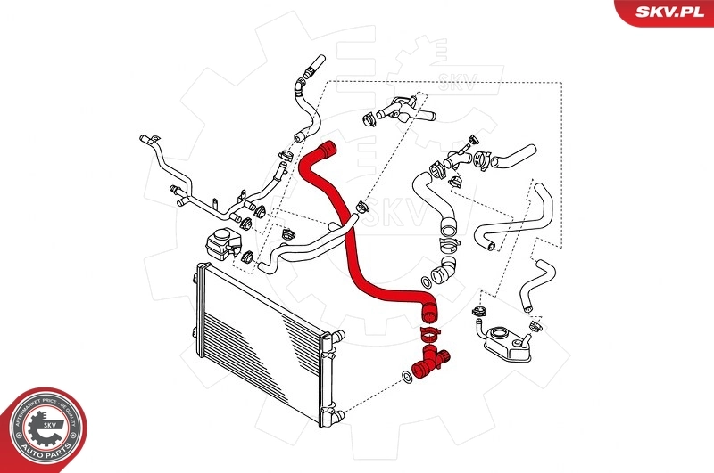 Radiator Hose